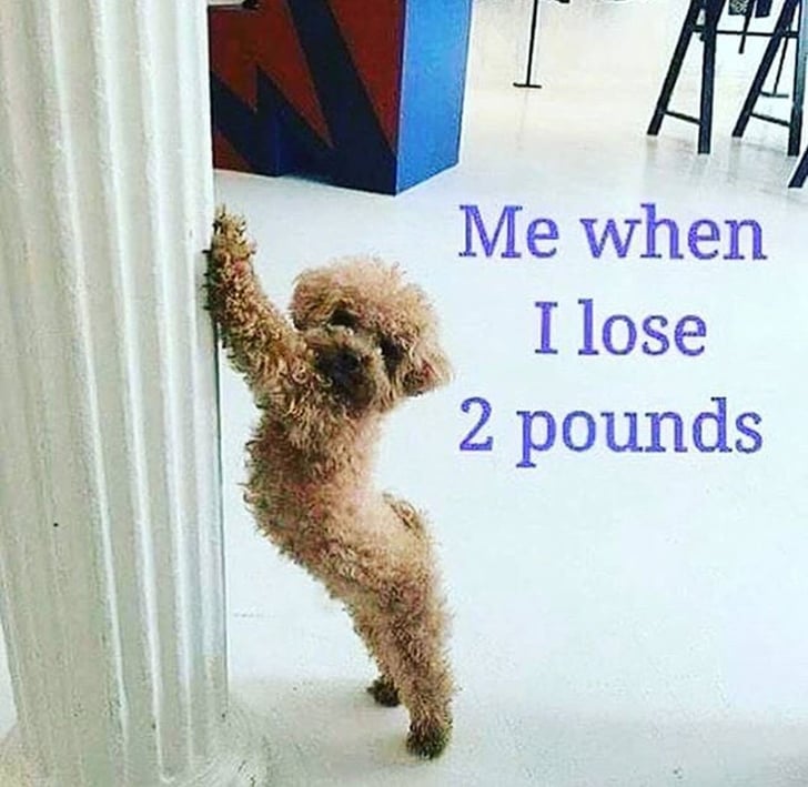 Memes to Celebrate Your WeightLoss Journey POPSUGAR Fitness