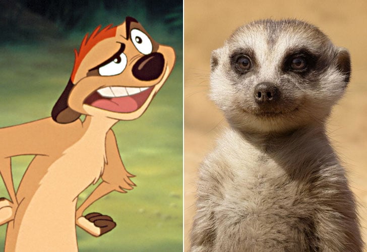 Timon