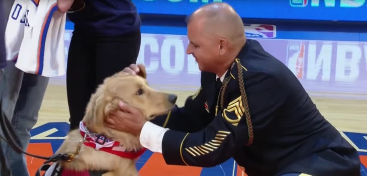 New York Knicks Give Service Dog to Army Veteran | POPSUGAR Pets