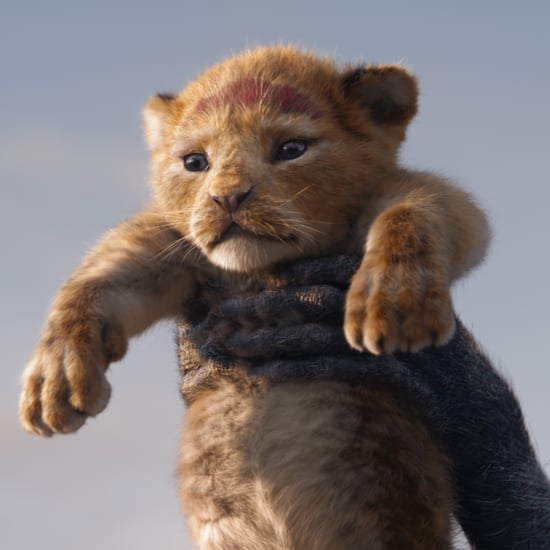 The Lion King Celebration at Disney California Adventure