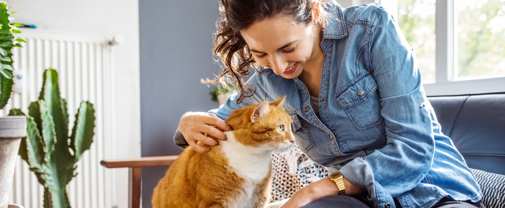 Why Getting My Pets Made Me Feel Like an Adult