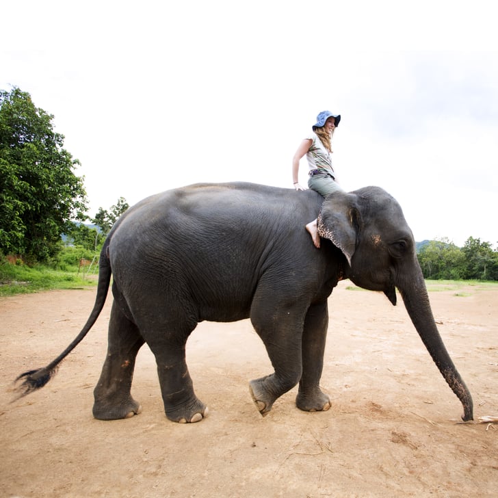 ride on toy elephant