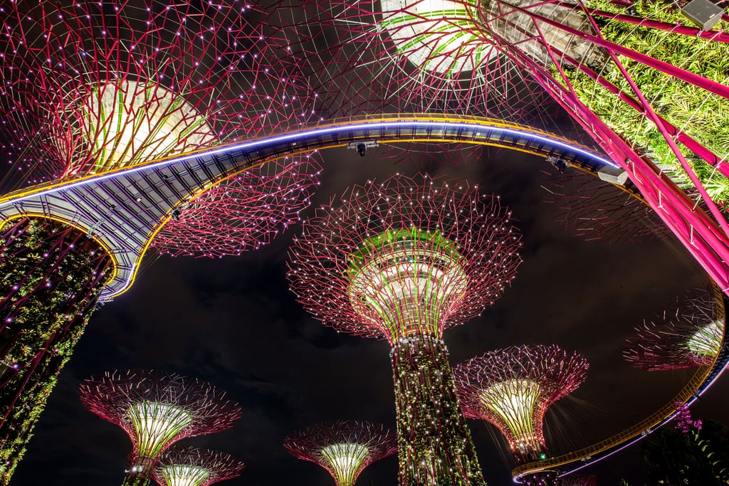 Travel Destination of the Year: Singapore