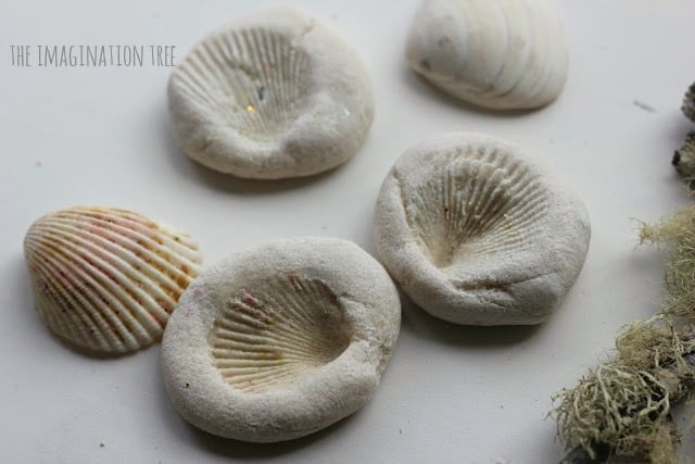 Sea Imprints