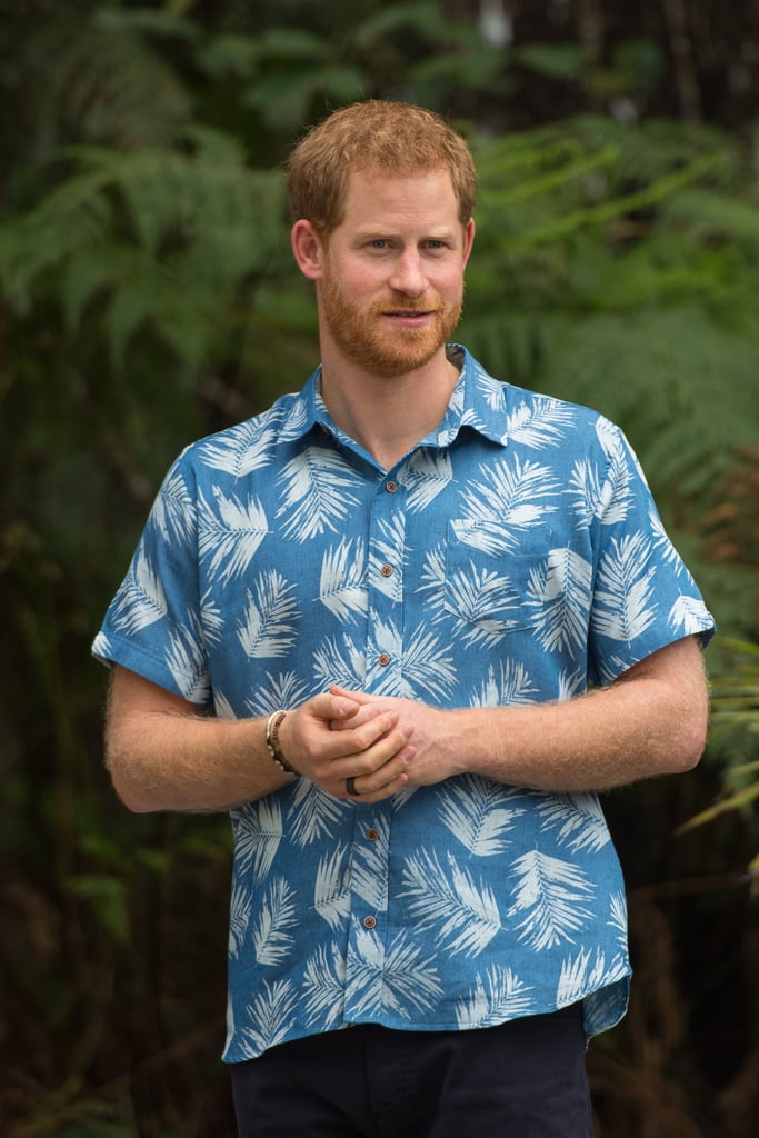 Prince Harry and Prince Charles Lookalike Beard Photos