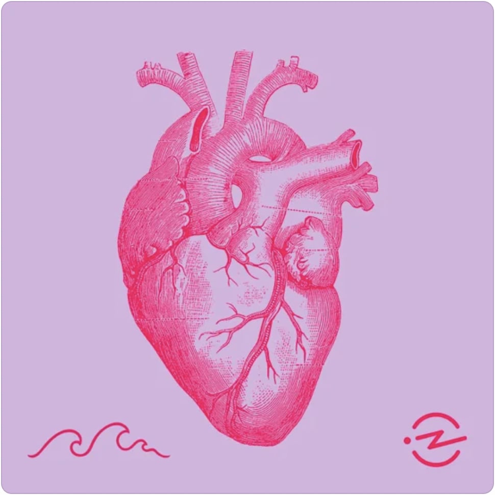 Pisces (Feb. 19–March 20): The Heart