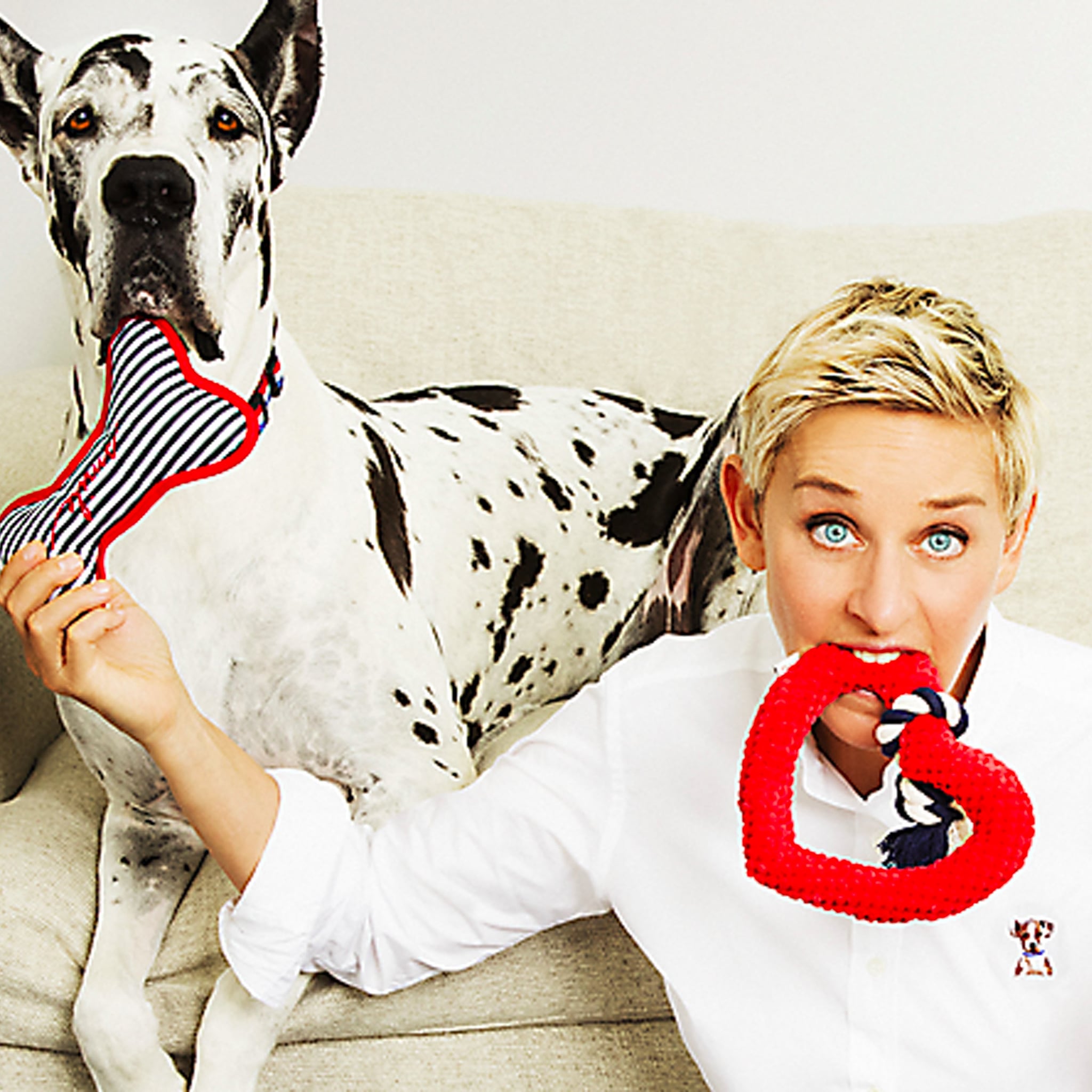 ellen degeneres dog