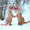 2 People Just Dressed Up in T-Rex Costumes For the Most Ridiculously Awesome Engagement Shoot