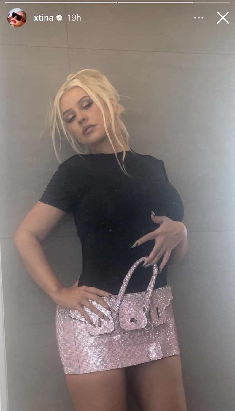 Christina Aguilera Wearing Namilia's Birkin Bag Skirt in Pink