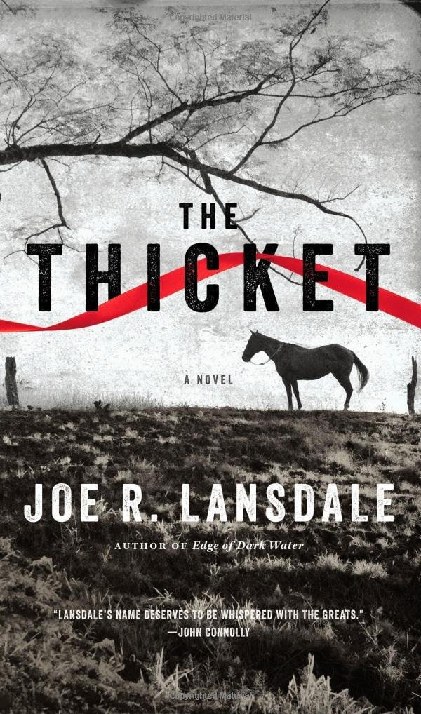 The Thicket by Joe R. Lansdale