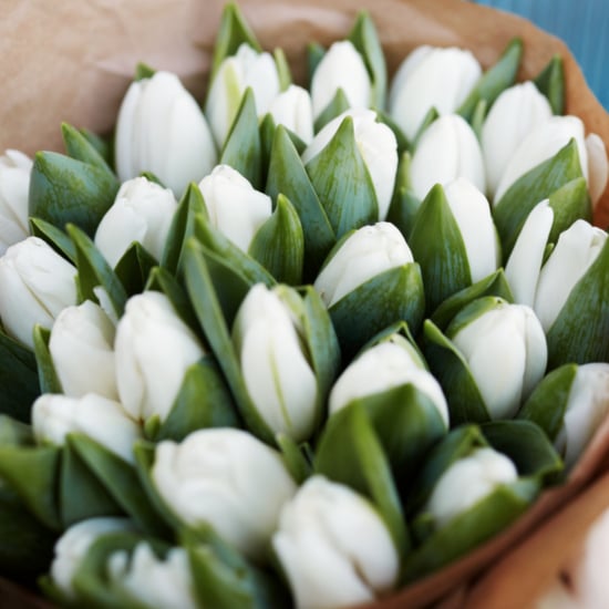 Facts About Tulips