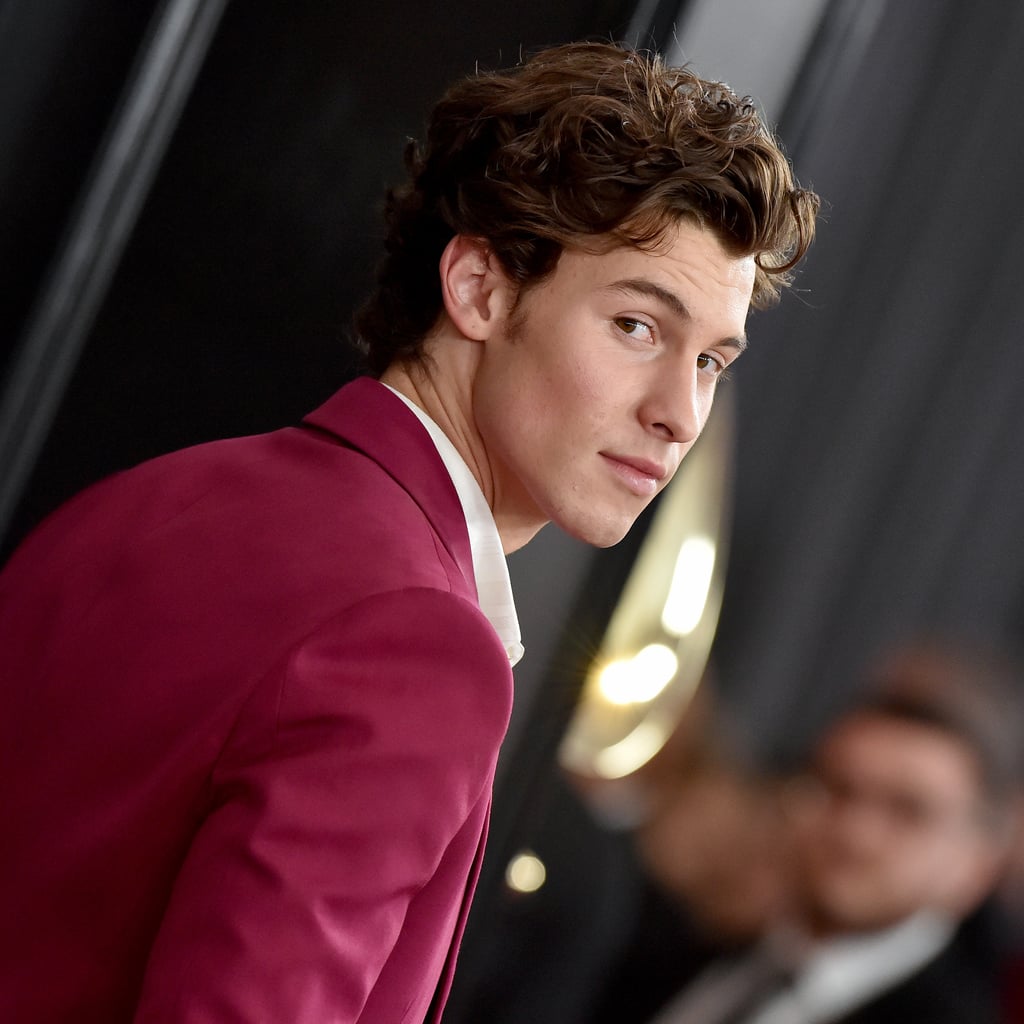 Shawn Mendes Just Cut His Hair, and Twitter is Divided