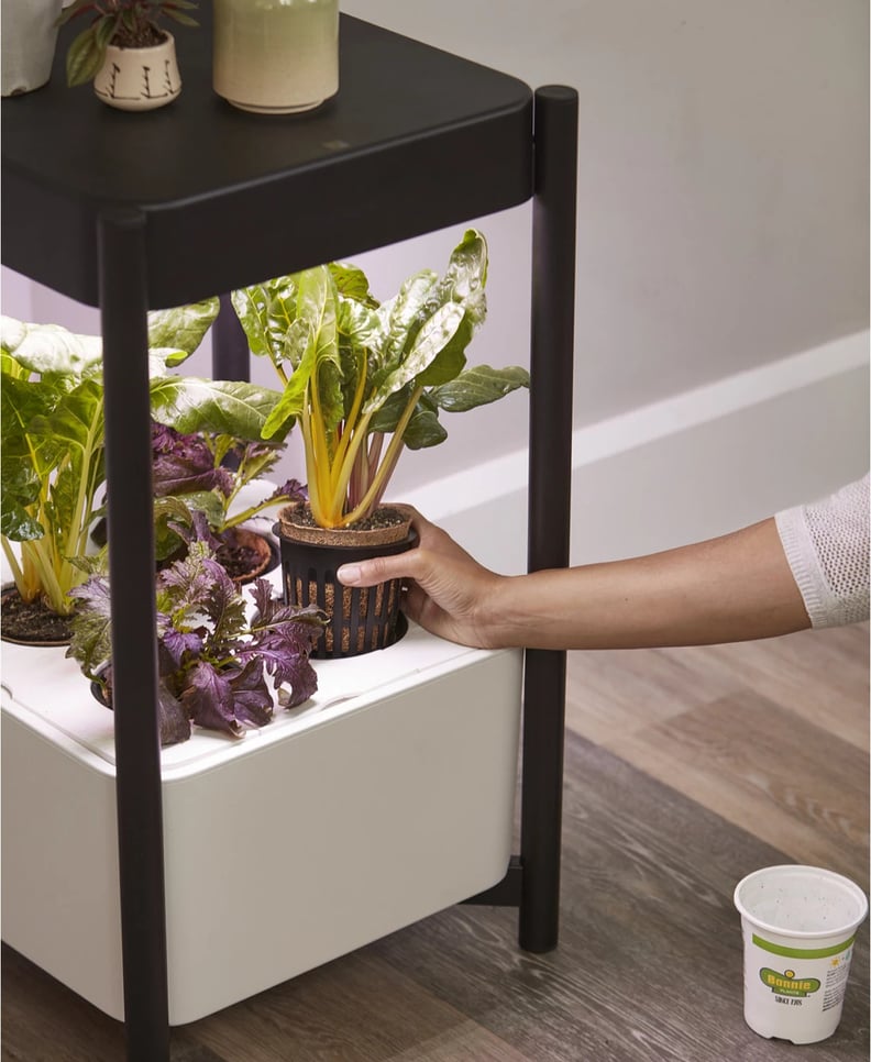 For Plant Parents: Miracle-Gro Twelve Indoor Growing System