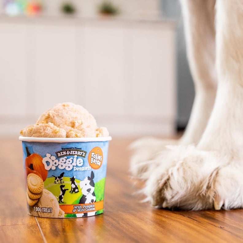 Ben & Jerry's Rosie's Batch Frozen Dog Treat With Pumpkin and Mini Cookies