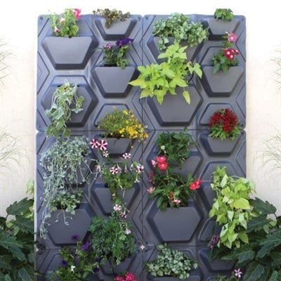 pieces of vertical garden
