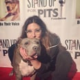 This Comic Is Standing Up For Pit Bulls, Both on and Off the Stage