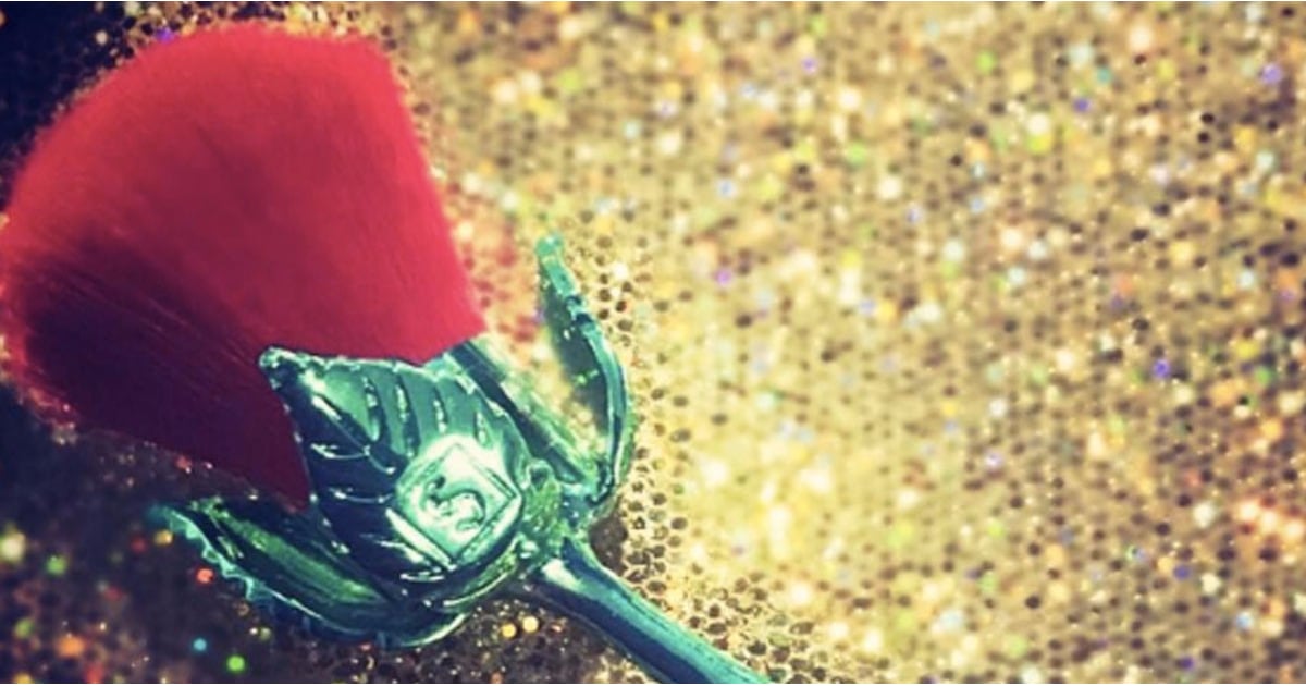 Storybook Cosmetics Beauty and the Beast Rose Makeup Brush ...