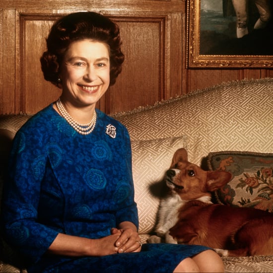 Queen Elizabeth's New Corgi, Whisper, 2017