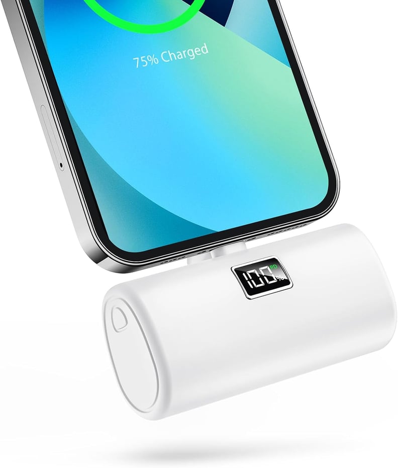 Portable Charger