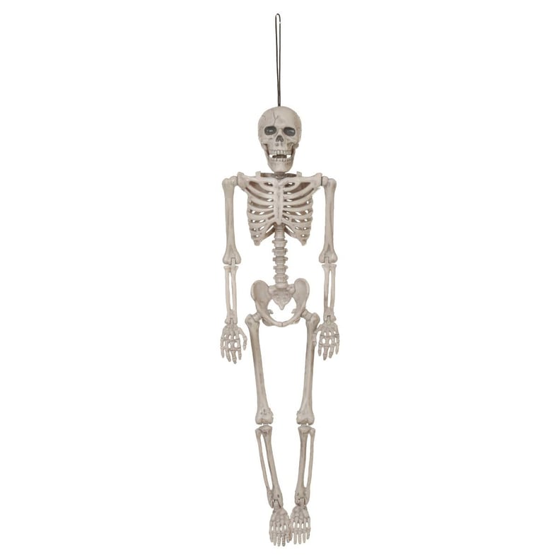 Hanging Posable Skeleton