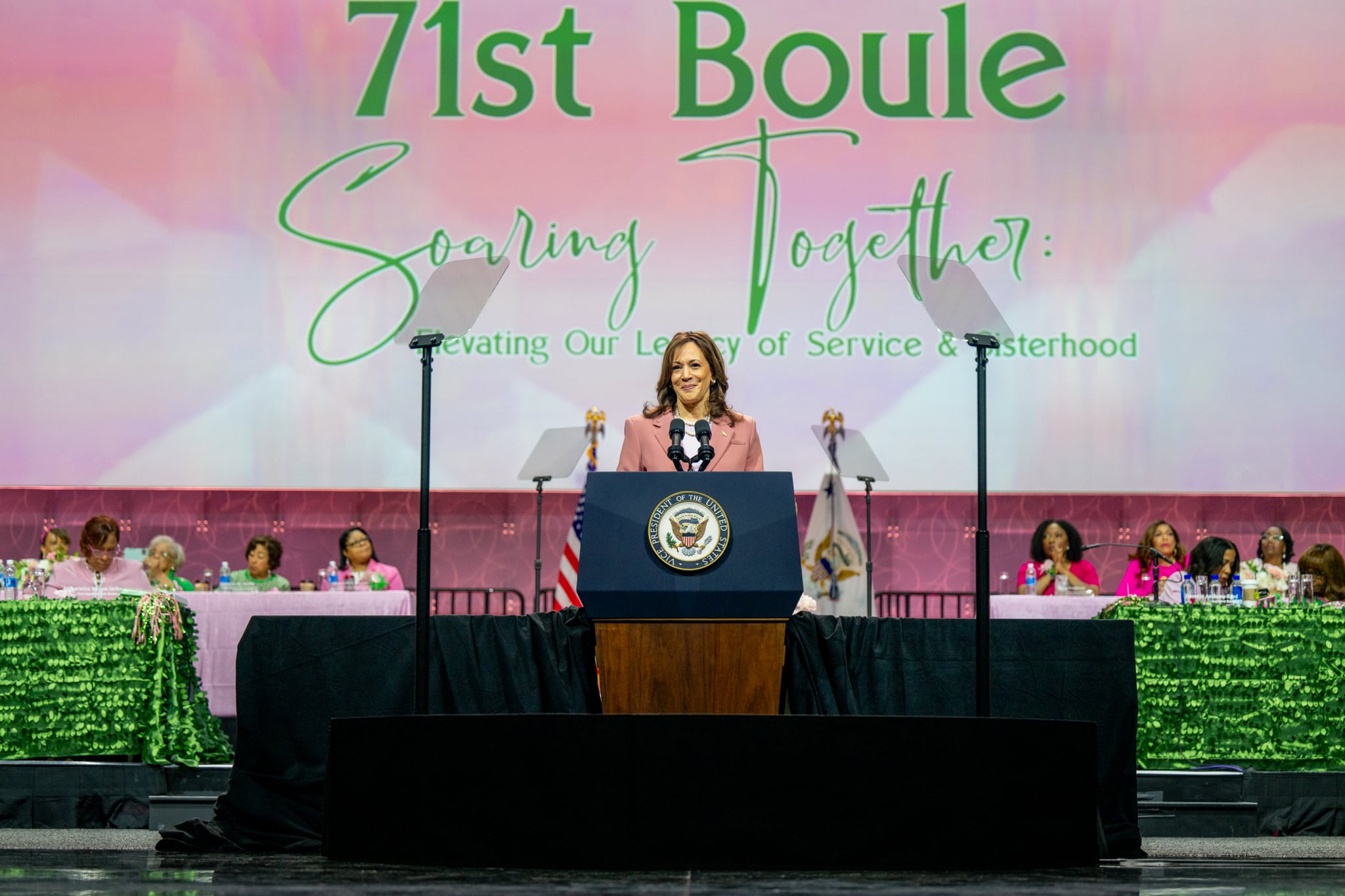 Vice President Kamala Harris speaks to members of the Alpha Kappa Alpha Sorority at the Kay Bailey Hutchison Convention Center on July 10, 2024 in Dallas, Texas.