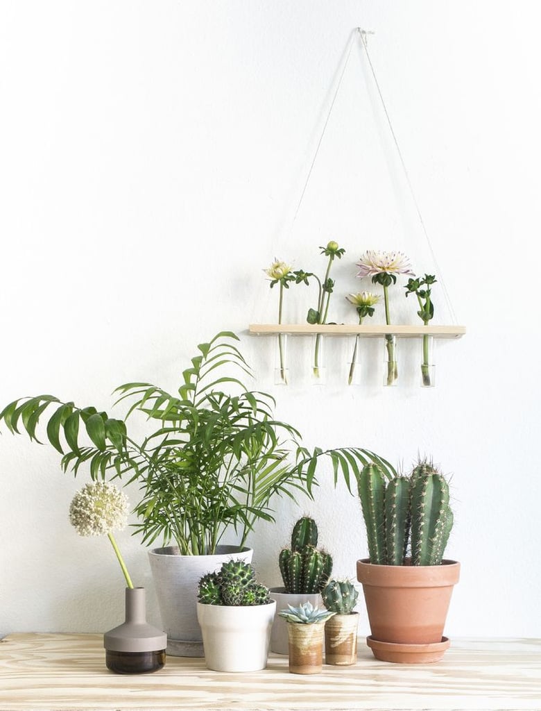 With an herbology professor as their head of house, you'd best believe that Hufflepuffs will have plants in every nook and cranny of their home!