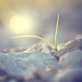 8 Ways to Get Through Tough Times