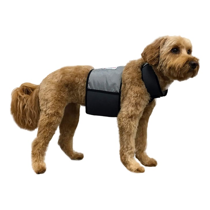 CoolerDog Dog Cooling Vest and Cooling Collar Best Summer Dog