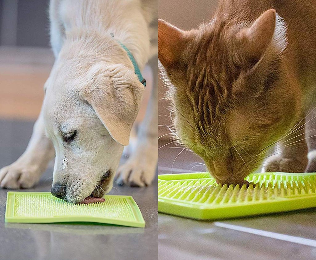 Hyper Pet IQ Treat Lick Mat for Dogs, Dog Slow Feeder & Cat Lick Mats |  Great Alternative to Slow Feeder Dog Bowls & Cat Slow Feeders | Perfect Dog