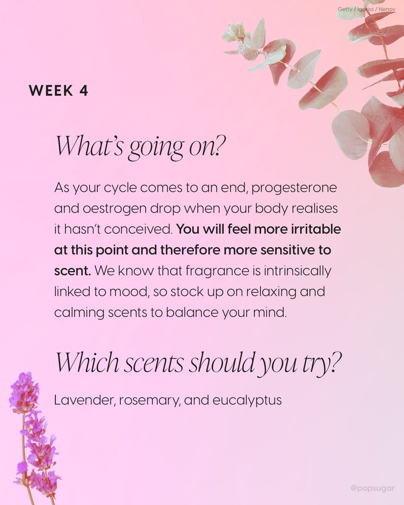 Menstrual Cycle Week 4: Lavender, Rosemary, and Eucalyptus