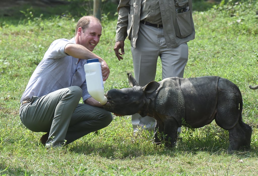 William fed a baby rhino during a visit to the Kaziranga National Park in India in April 2016.