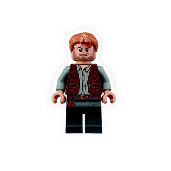 Lego Jurassic Park Video Game