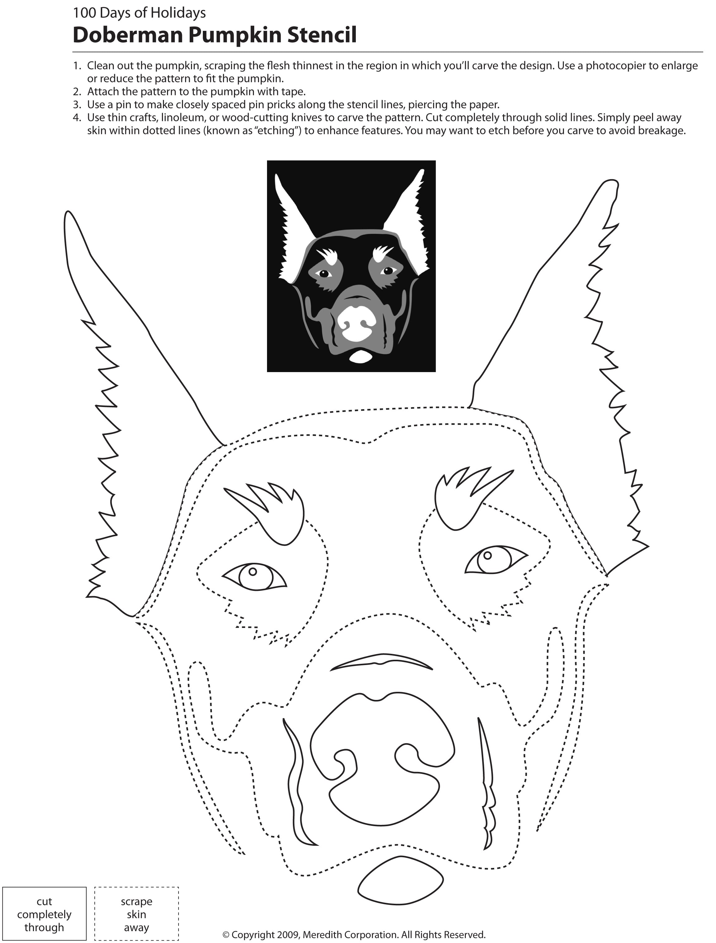 pitbull-pumpkin-stencil