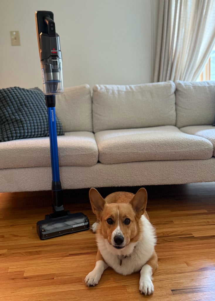 Bissell PowerClean FurFinder 200W Self-Standing Cordless Vacuum ($130, originally $230)
Get $100 off one of the best vacuums to invest in for pets. The built-in light is a game-changer; it surfaces every speck of fur, dirt, and debris you'd otherwise miss. Check out one editor's Bissell PowerClean FurFinder review for more details.
Editor Quote: "What I love most about the Bissell PowerClean FurFinder is that it actually feels like it was made for people who live with fur and are constantly fighting it. It's clear the designers paid attention to the little things that make a big difference. Take the built-in light. I assumed it was more gimmick than anything, but it immediately proved its worth when I vacuumed an area that looked clean and watched as it lit up a whole layer of hidden fur." — Marisa Petrarca, contributing shopping editor