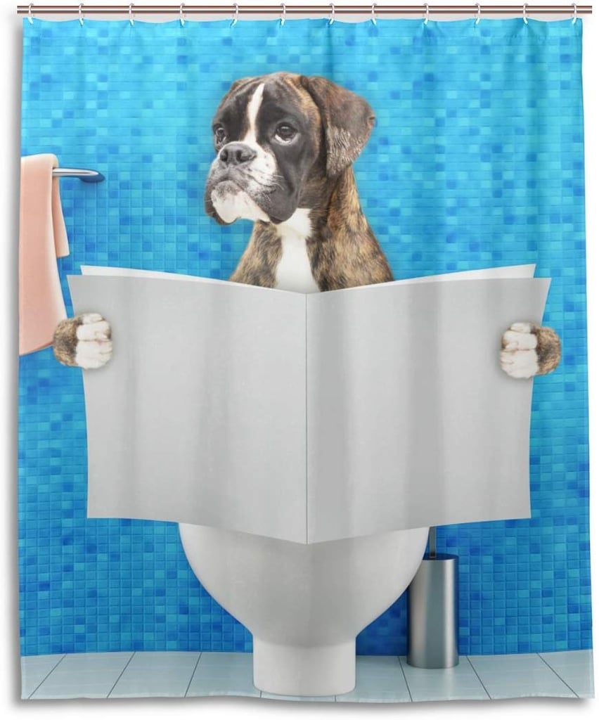 A Boxer on the Toilet