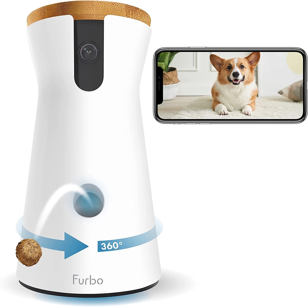Family With Pets: Furbo 360° Dog Camera