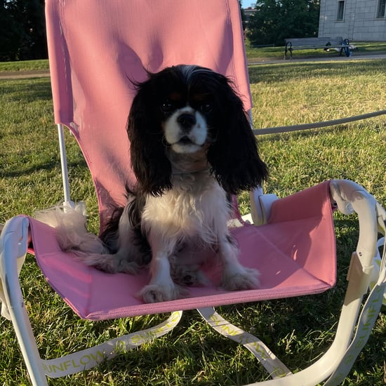 Sunflow Beach Chair Review | 2022