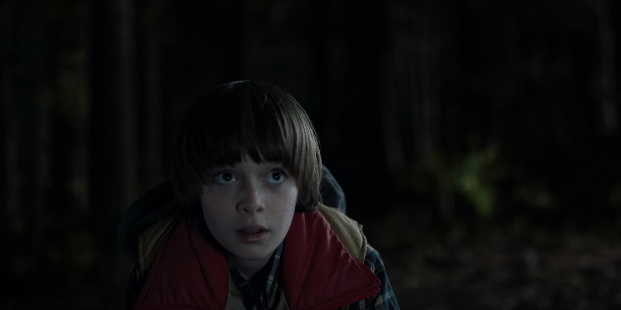 Noah Schnapp as Will Byers in Stranger Things Season 1, Journey to the  Upside Down as We Revisit the Stranger Things Cast Then and Now