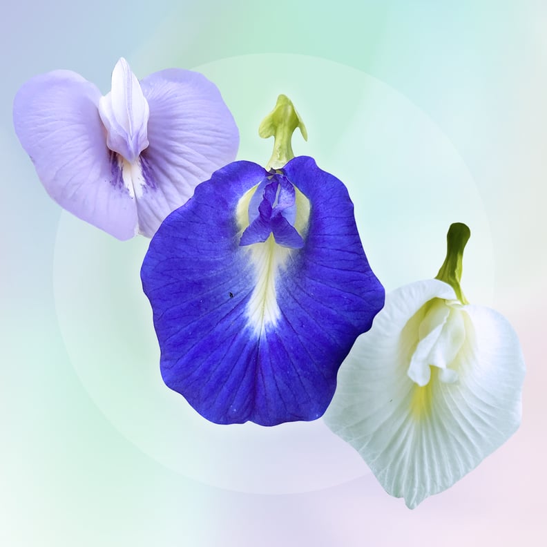 collage of pea flowers to represent vaginal allergies