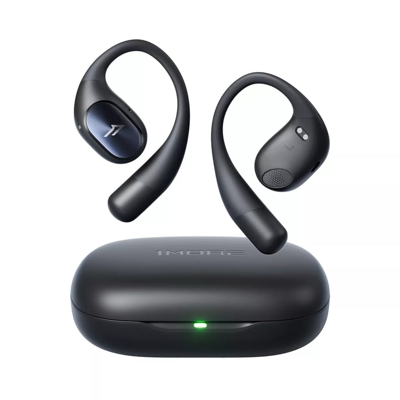 Earphones