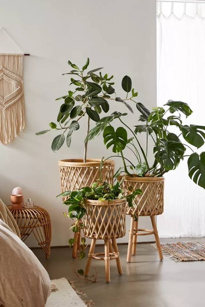 Bamboo Plus Wood Rattan Plant Stands