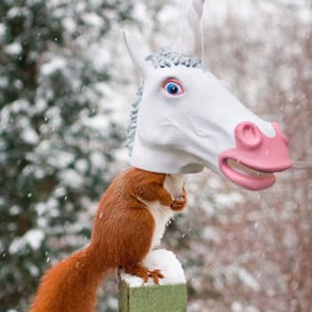 Archie McPhee Unicorn Head Squirrel Feeder - Thumbnail 2