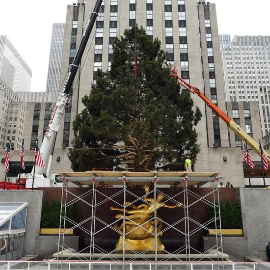 Rockefeller Christmas Tree Has Family History