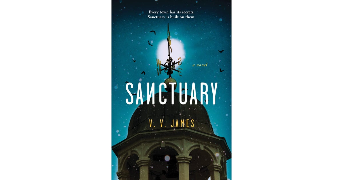 Sanctuary by V.V. James The Best New Fall 2020 Books For Women