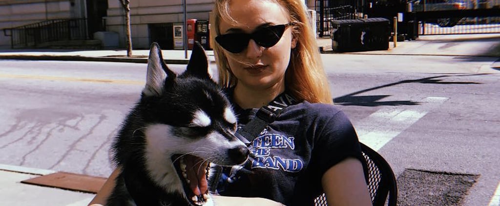 How Many Dogs Do Joe Jonas and Sophie Turner Have?