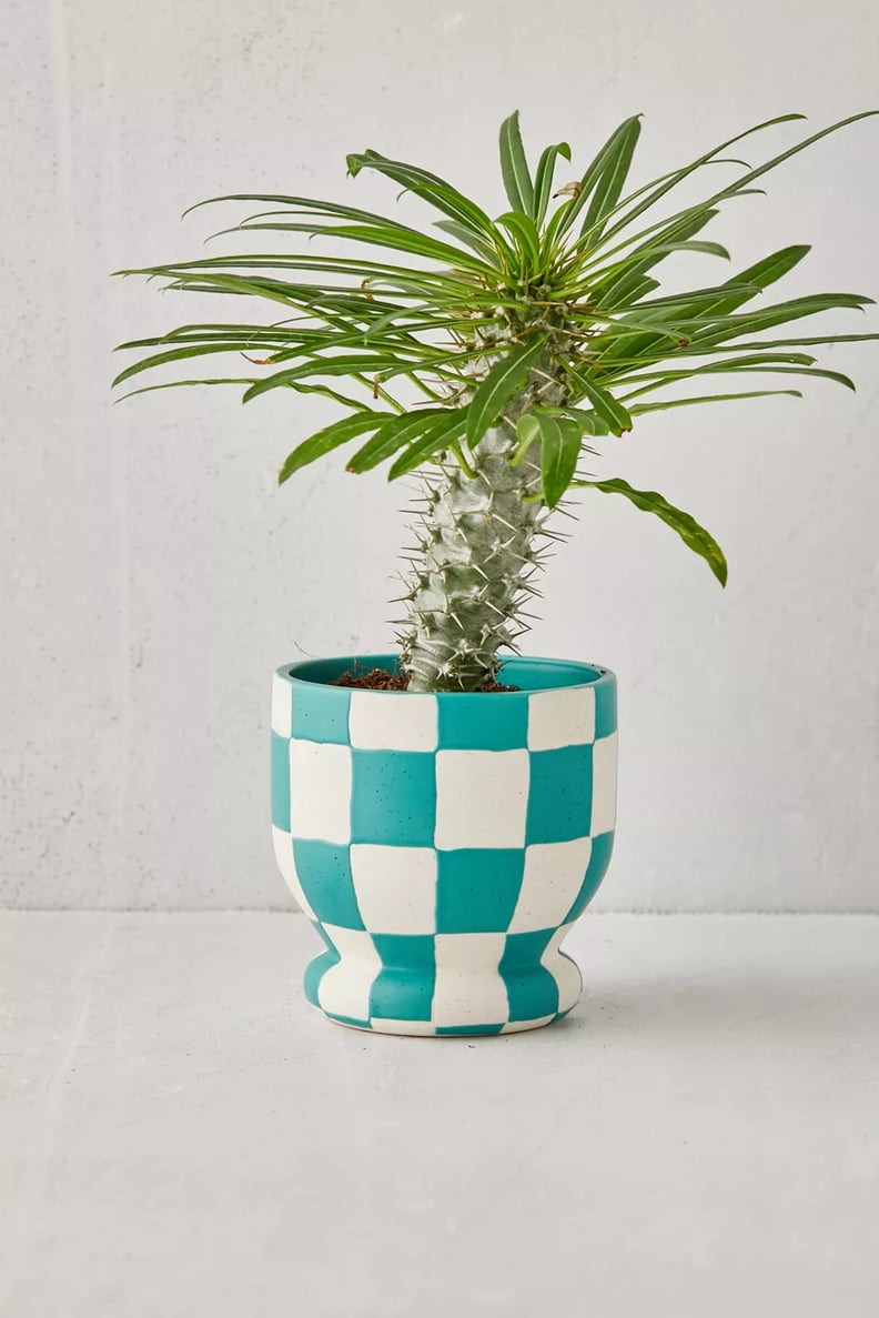 Urban Outfitters Frankie Checkered Planter