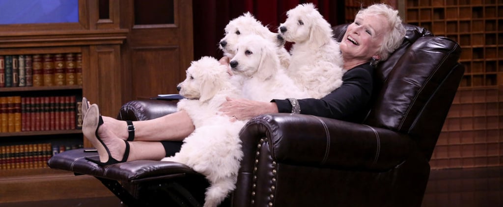 Glenn Close and Finn Wolfhard Play Pup Quiz on Fallon 2018