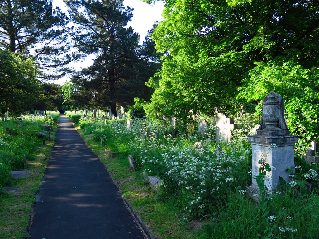 Take a Haunted Graveyard Tour