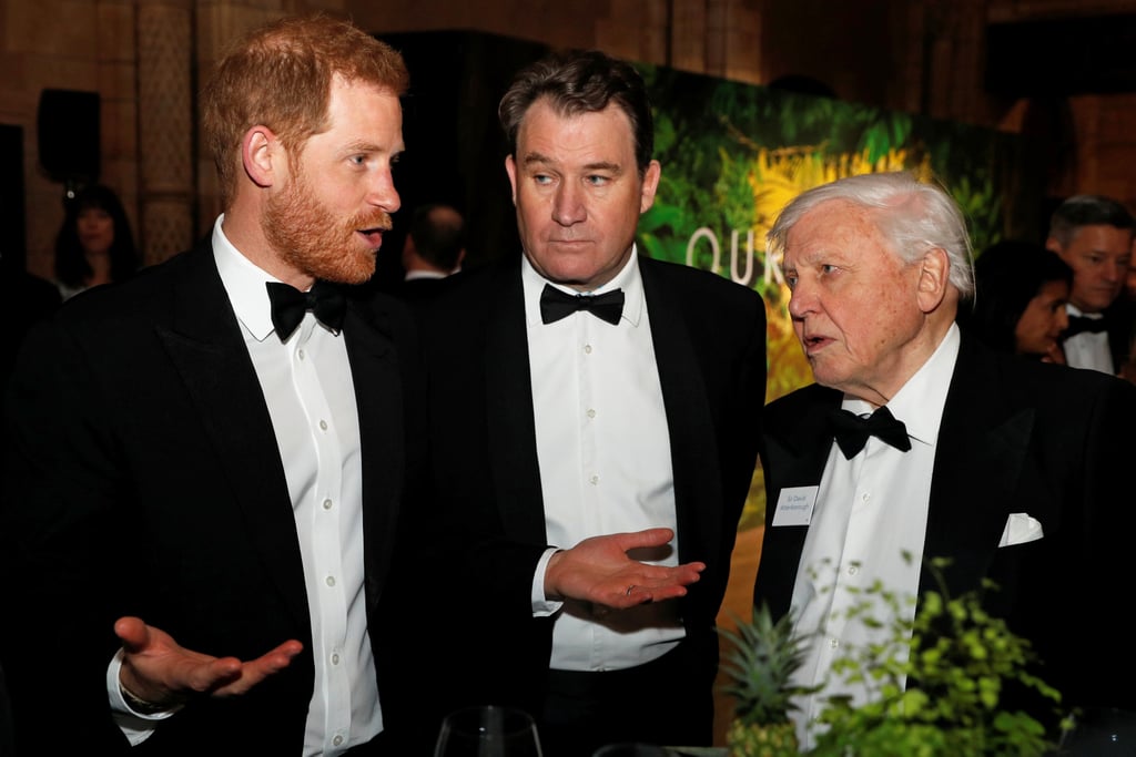 Harry, William, and Charles at Our Planet Premiere 2019