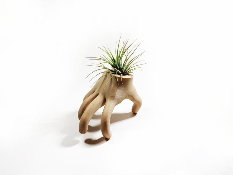 Wooden Hand Air Plant Holder